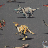 Jurassic Park Fabric - Ribes y Casals