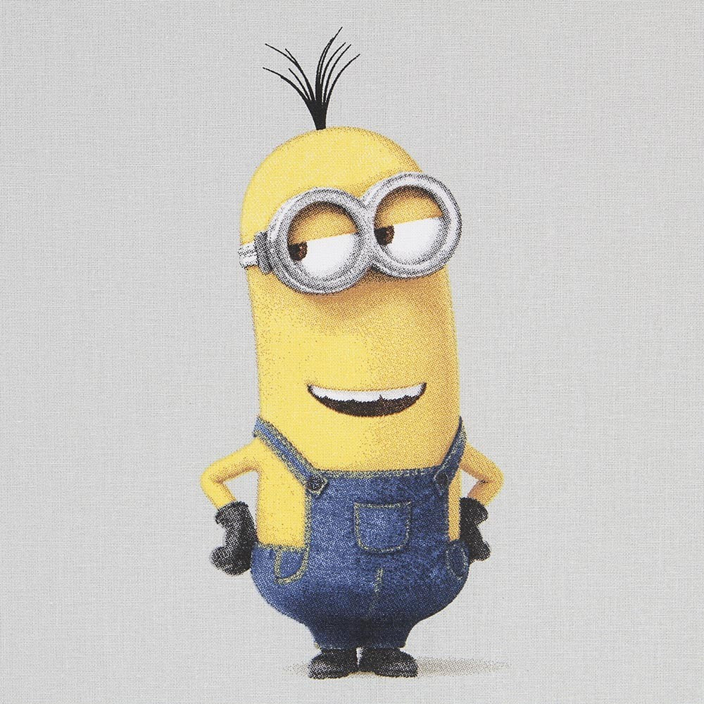 Gray The Minions Fabric - Ribes y Casals