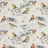 Cotton Printed Fabric Birds Ecru - Ribes y Casals