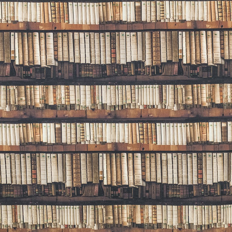 Cotton Kids Fabric Books Brown - Ribes y Casals