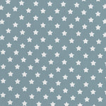 Fabric White Star Turquoise Background - Ribes y Casals
