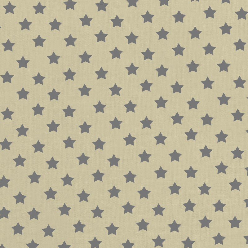 Fabric Grey Star Beige Background - Ribes y Casals