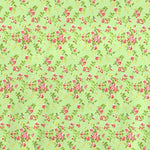 Lycra Fabric Flower Print Pistachio Background - Ribes y Casals