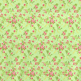 Lycra Fabric Flower Print Pistachio Background - Ribes y Casals