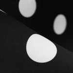 Dotted Mikado Black Background - Ribes y Casals