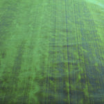 Green Pearl Fabric - Ribes y Casals