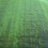 Green Pearl Fabric - Ribes y Casals