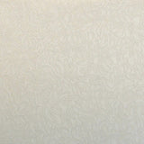 Jacquard Neopren Ecru - Ribes y Casals