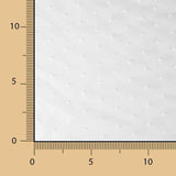 Organza Plumeti Natural White Embroidered - Ribes y Casals