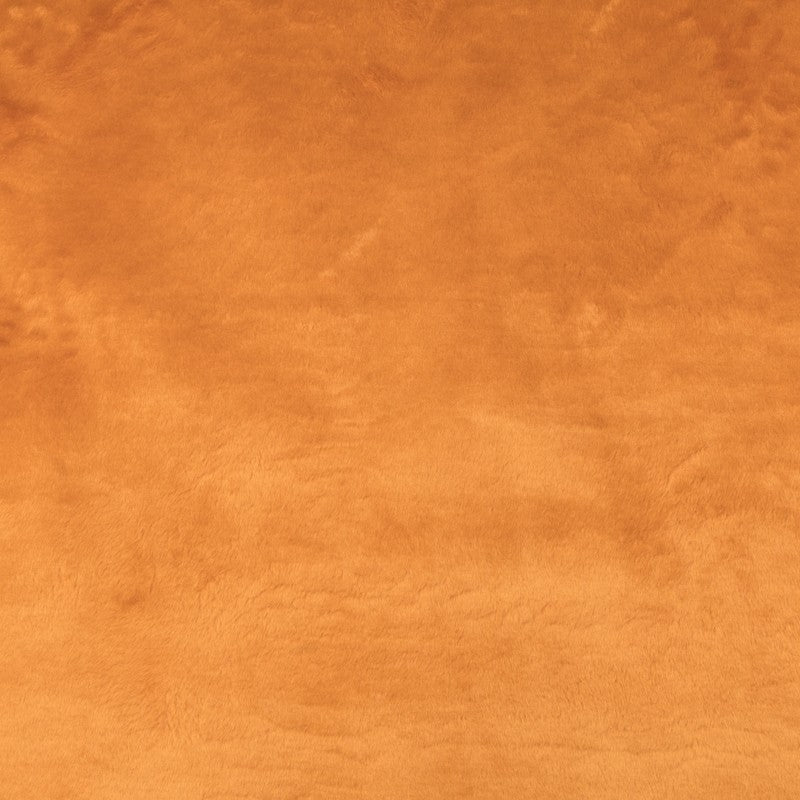 Short Hair Camel - Ribes y Casals