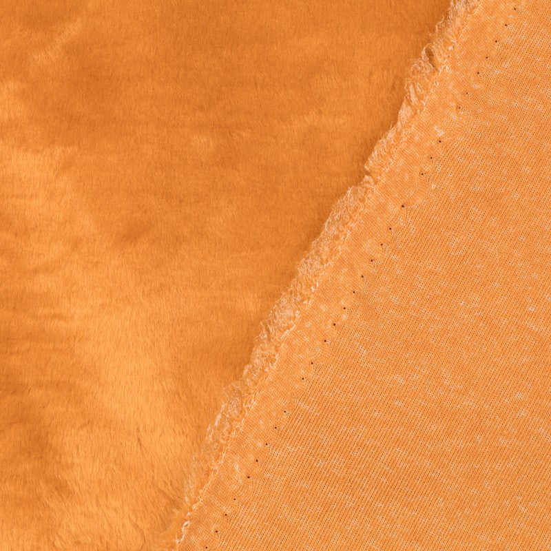 Short Hair Camel - Ribes y Casals