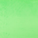 Short Hair Green Soft - Ribes y Casals
