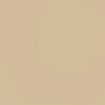 Beige Polyester Fabric - Ribes y Casals