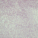 Pearl Glittered Fabric - Ribes y Casals