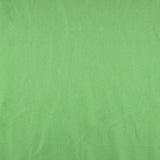 Green Satiny Fabric - Ribes y Casals