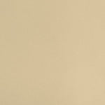 Bi-Stretch Gabardine Beige - Ribes y Casals