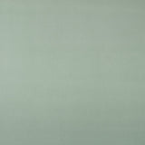 Mint Green Viscose Fabric - Ribes y Casals