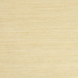 Xantung Fabric Champagne - Ribes y Casals