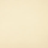 Ivory Bi-Elastic Fabric - Ribes y Casals