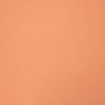 Salmon Polyester Flat - Ribes y Casals