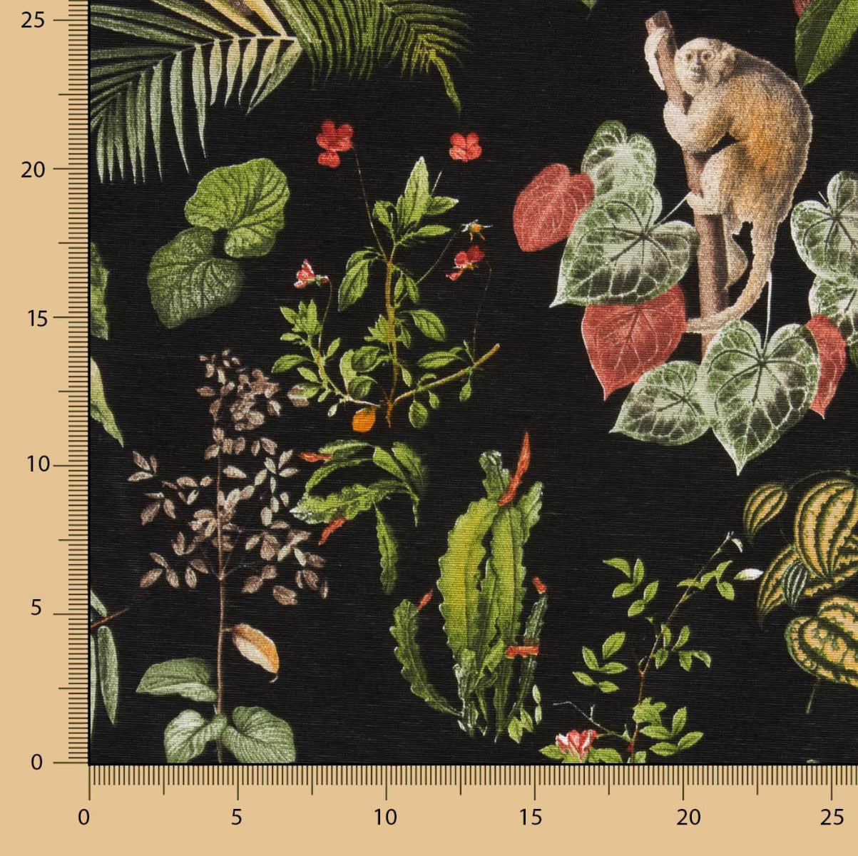 Black Forest Canvas - Ribes y Casals