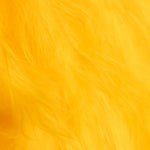 Retal Tela Pelo Largo Amarillo Oro 150x150 cm - Ribes y Casals