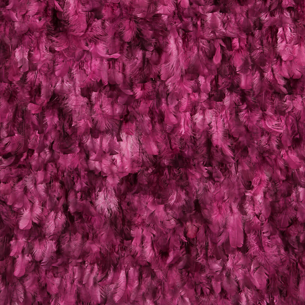 Fuchsia Fabric with Feathers - Ribes y Casals