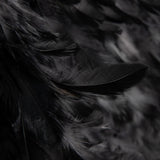 Black Feather Fabric - Ribes y Casals