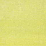 Velvet Upholstery Fabric Lime - Ribes y Casals