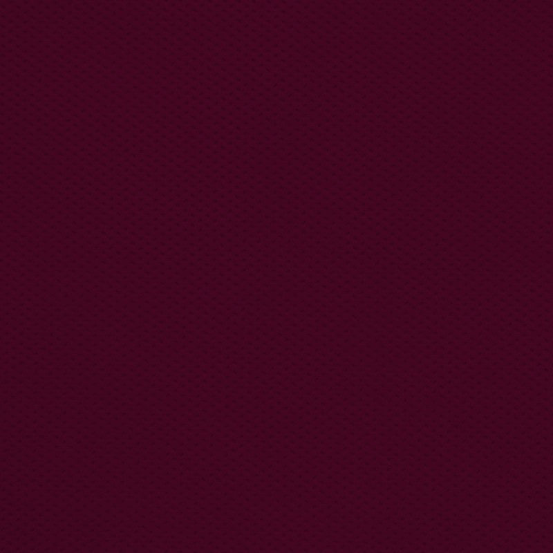 TNT Garnet - Ribes y Casals
