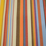 Awning Teflon Stripe Multicolor - Ribes y Casals