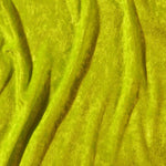 Olive Green - Ribes y Casals
