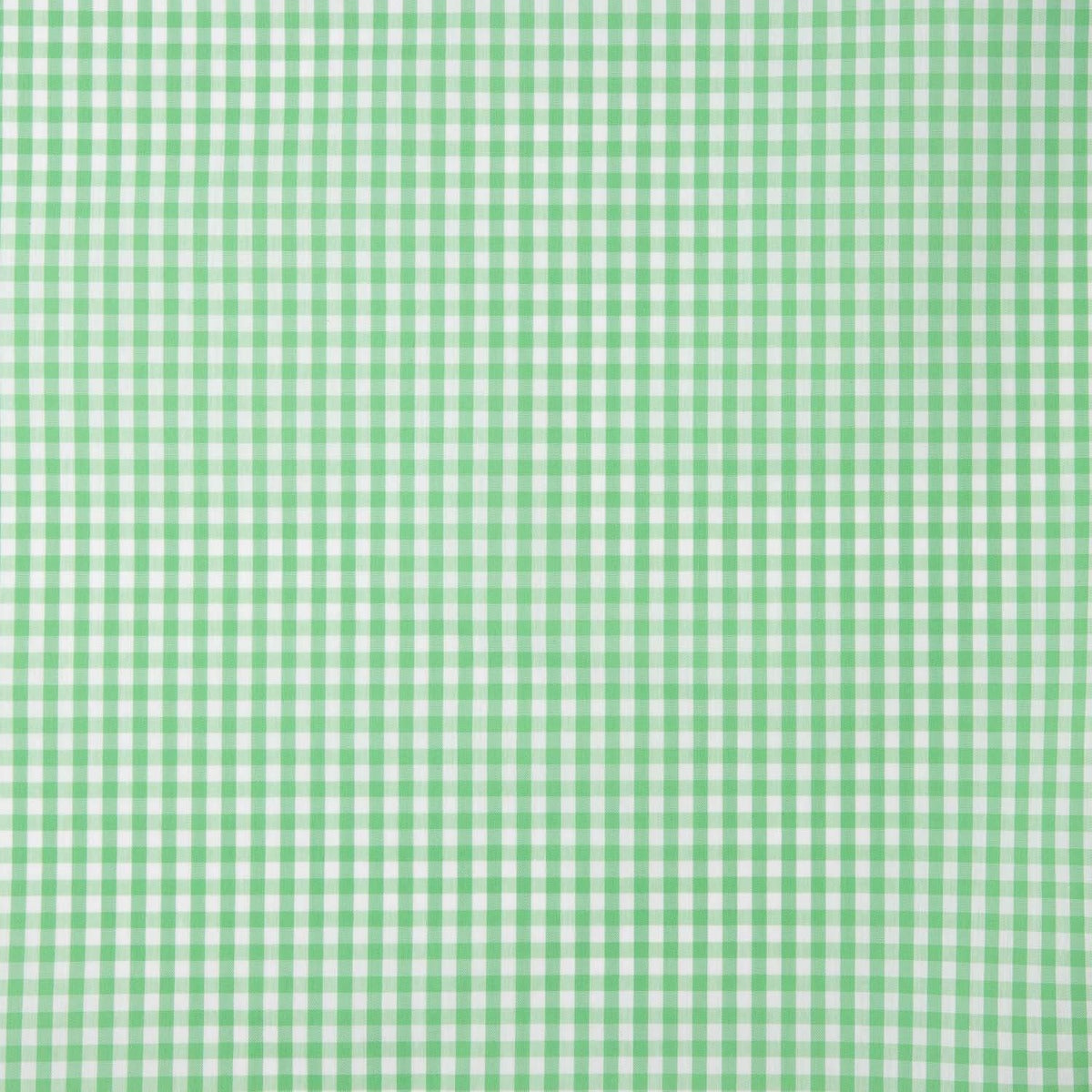 Medium Apple Green Vichy Check - Ribes y Casals