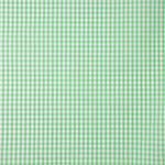 Medium Apple Green Vichy Check - Ribes y Casals