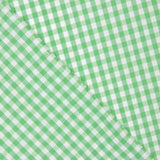 Medium Apple Green Vichy Check - Ribes y Casals