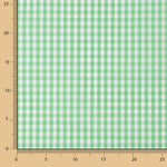 Medium Apple Green Vichy Check - Ribes y Casals